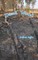 Dead Wood