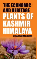The Economic And Heritage The Economic And Heritage