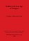 Studies in the Iron Age of Hungary