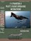 F-4 Phantom Pilot's Flight Operating Manual