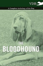 The Bloodhound - A Complete Anthology of the Dog - The Bloodhound - A Complete Anthology of the Dog -