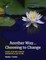 Another Way...Choosing to Change