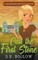 Cast the First Stone (A Christian Amateur Sleuth Mystery)