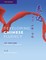 Developing Chinese Fluency