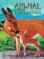 Animal Encounters