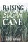 Raising Sugar Cane
