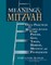Meaning & Mitzvah