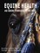 Equine Health - As seen through the eye