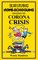 Surviving Home-Schooling Through the Corona Crisis