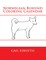 Norwegian Buhund Coloring Calendar