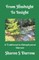 From Hindsight to Insight