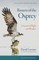 Return of the Osprey