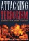 Attacking Terrorism