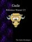 Guile Reference Manual 2/2