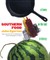 Southern Food