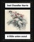 A Little Union Scout (1904) by