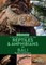 A Naturalist's Guide to the Reptiles & Amphibians of Bali