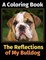 The Reflections of My Bulldog