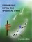 Stumbling Upon the Spiritual Path