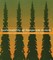 Sustainability of Temperate Forests