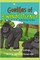 Gorillas of Bwindi Avenue