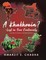 A Khukhrain? - Lost in Four Continents