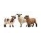 SCHLEICH FARM WORLD Draudzīgās aitiņas