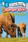 Ranger Rick: I Wish I Was a Bison