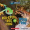 Red-Eyed Tree Frog or Wood Frog (Wild World)