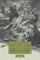 Ireland, India and Nationalism in Nineteenth-Century Literature