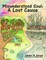 Misunderstood Soul: A Lost Cause