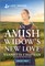 An Amish Widow's New Love