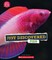 Discovered Fish (Learn About: Animals)