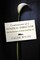 Wilde, C: Confessions of a Funeral Director