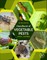 Handbook of Vegetable Pests
