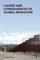 Causes and Consequences of Global Migration
