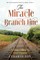 The Miracle Branch Line