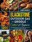 Blackstone Outdoor Gas Griddle Cookbook for Beginners