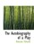 The Autobiography of a Play