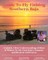 Fly Fishing Southern Baja