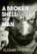 A Broken Shell Of A Man