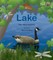 Lake: A See to Learn Book