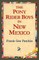 The Pony Rider Boys in New Mexico