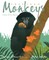 Fourteen Monkeys