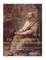 The Ancient World's Most Influential Philosophers