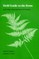 Field Guide to the Ferns