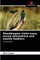Woodhoopoe violet mass, sexual dimorphism and mantle feathers