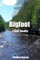 Bigfoot, A New Reality