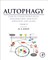 Autophagy: Cancer, Other Pathologies, Inflammation, Immunity, Infection, and Aging