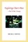 Exploring Chico's Past and Other Essays